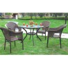 SET HFS-0505 PALMA MESA+4 SILLONES en ACEM